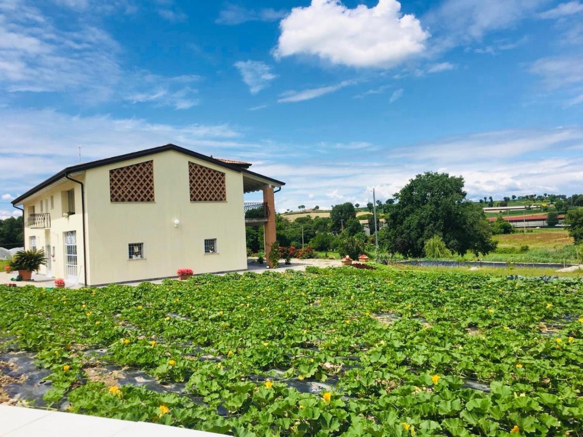 Villa Incanto Del Garda Monzambano Exterior foto